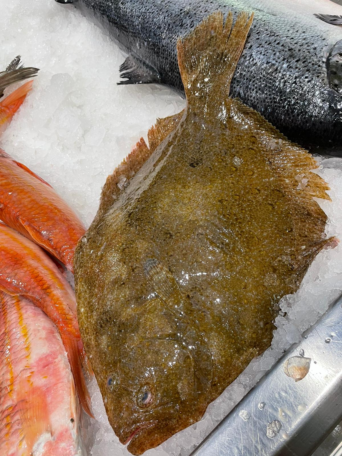 Coruxo