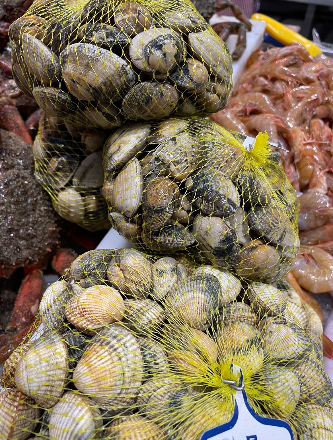 Almejas