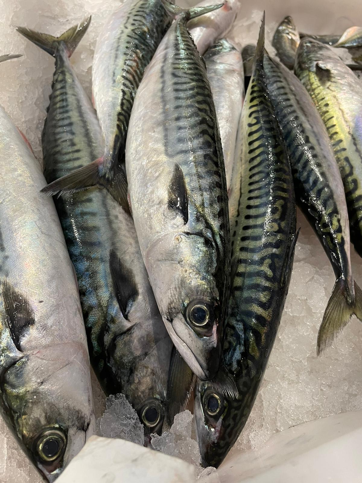 Caballa