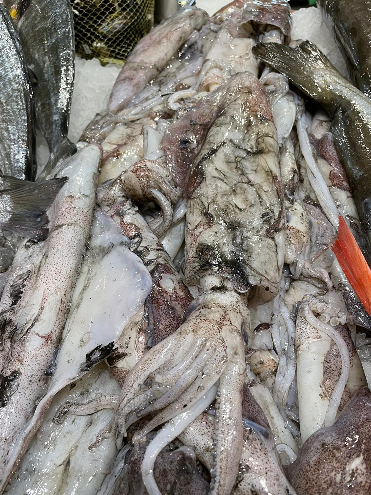 Calamar