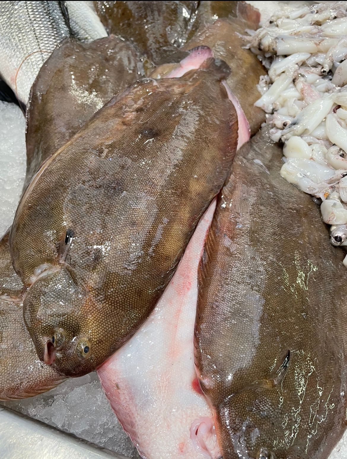 Lenguado