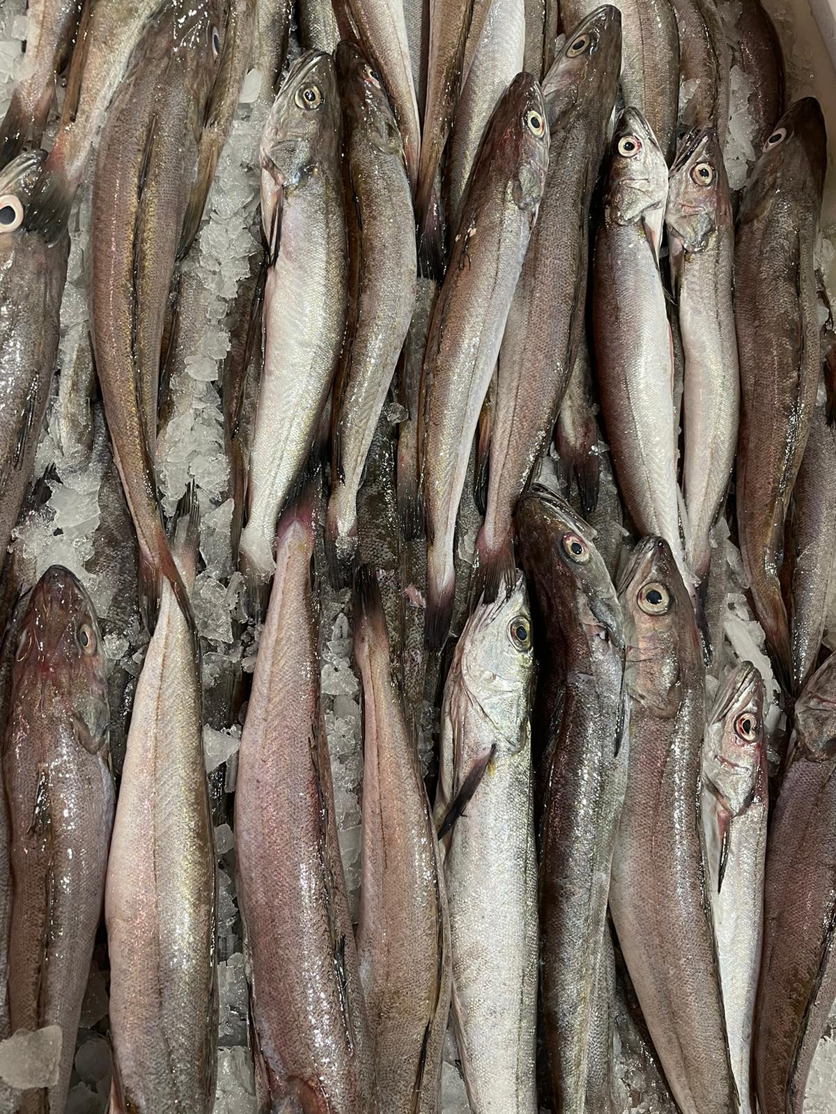 Pescadillas