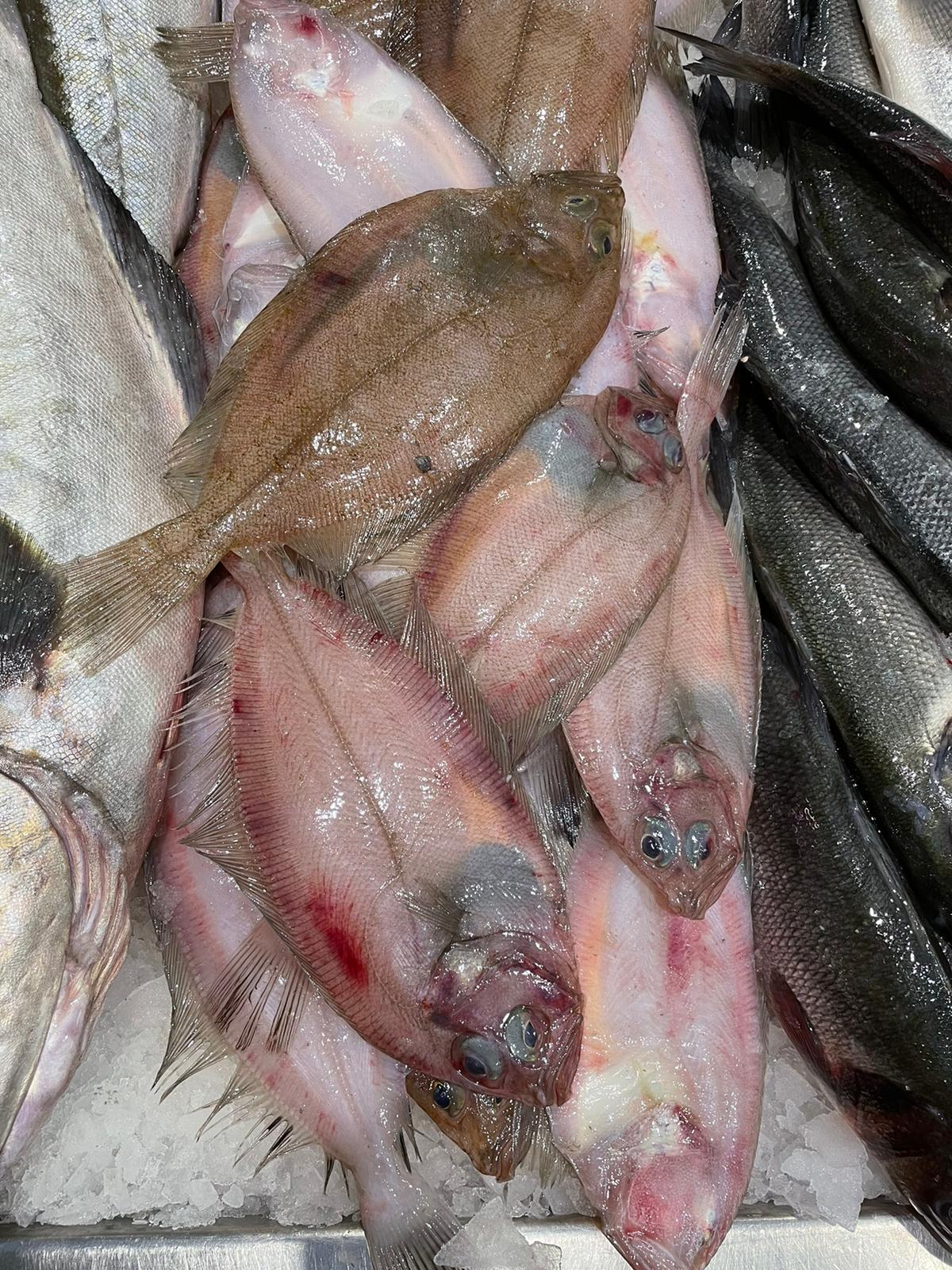 Rapante