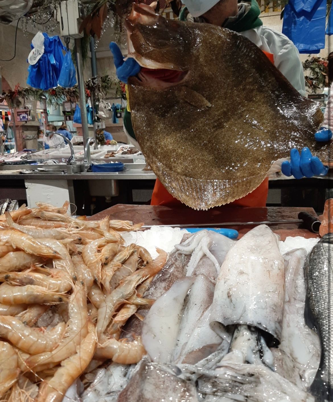 Rodaballo