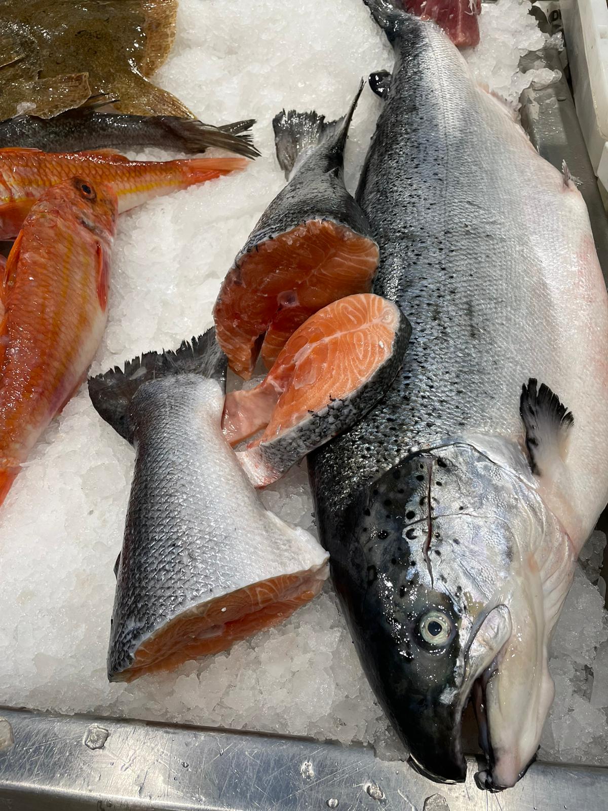 Salmón
