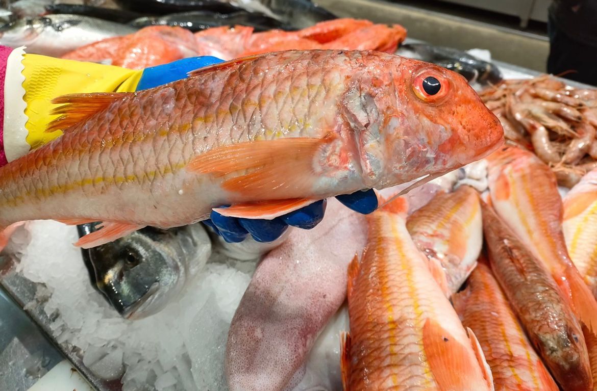 Salmonete